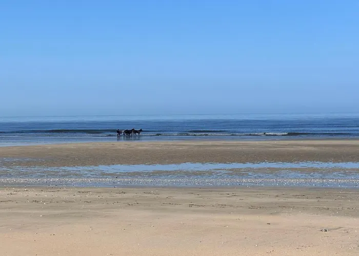 Marina Marinaland Довиль