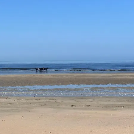 Marina Marinaland Deauville